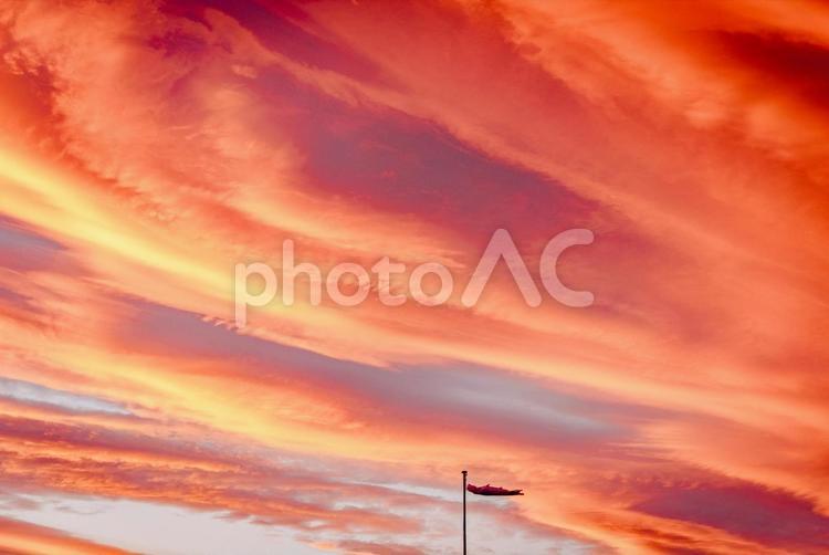 赤く燃える夕焼け雲と鯉のぼり 雲,赤,空の写真素材