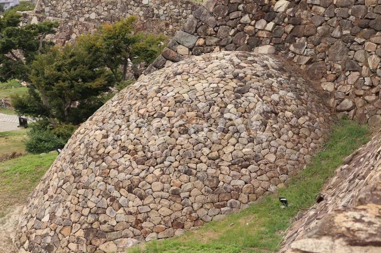 壮大な鳥取城趾の石垣に珍しい巻石垣 石垣,巻石垣,城趾の写真素材