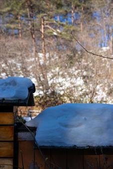 雪積もる屋根と冬の山林 雪,冬,雪景色の写真素材