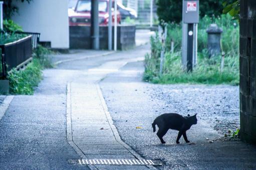 道をあけて 道をあけての写真