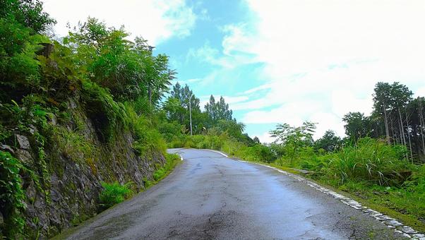 雨上がりの山道 雨上がり,緑,山の写真素材