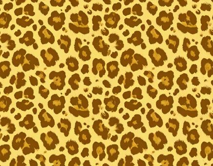 ヒョウ柄アニマル模様の写真