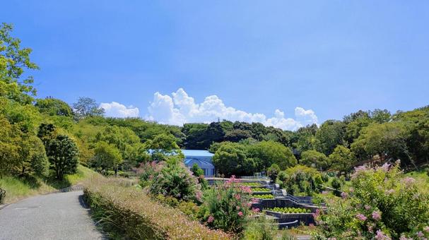 市民の森公園-09 市民の森公園-09の写真