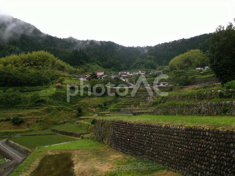 「井仁」集落の棚田、広島県 棚田,井仁,集落の写真素材