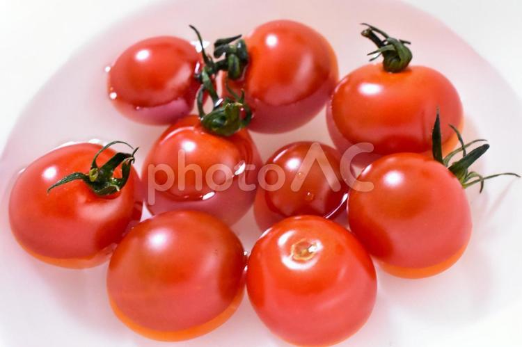 夏のフレッシュ野菜　真っ赤なトマト トマト,プチトマト,緑黄色野菜の写真素材