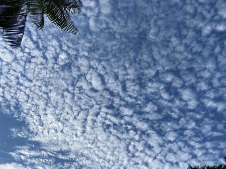 爽やかな青空 爽やかな青空の写真