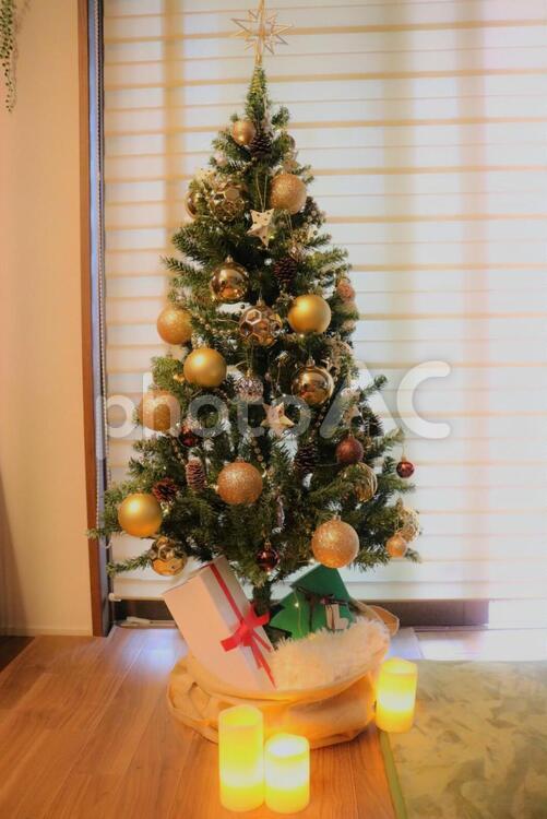 我が家のクリスマスツリー２ クリスマスツリー,ツリー,クリスマスの写真素材