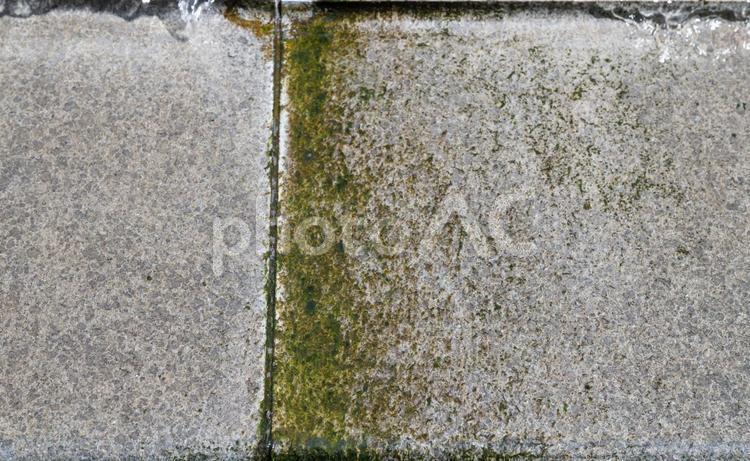 苔の生えた石畳 石畳,苔,緑の写真素材