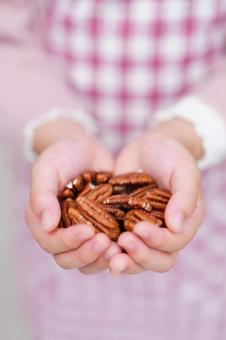 おやつのナッツを手に持つ可愛らしい手元 ピーカンナッツ,ナッツ,持つの写真素材