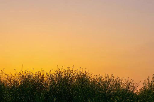 Spring sky before sunrise, JPG