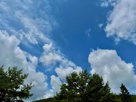 夏空 夏空 空,風景,自然の写真素材
