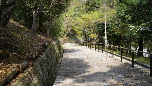 平和公園の路地 平和公園,路地,春の写真素材