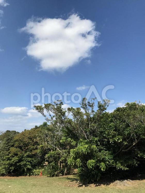 緑のある穏やかな場所（縦ヴァージョン） 空,雲,木々の写真素材