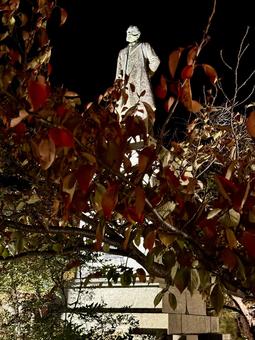 秋　ライトアップされる舟津温泉薬師堂 銅像,自然,舟津温泉薬師の写真素材
