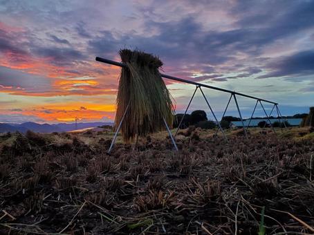 途中のハゼかけと夕陽 途中のハゼかけと夕陽 風景,夕陽,ハゼかけの写真素材