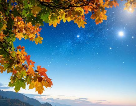 秋の紅葉 秋の紅葉の写真