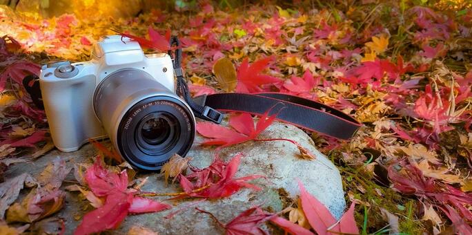 カメラと秋 カメラ,電子機器,趣味の写真素材