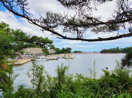 松島の風景1(陸地から)横向き 松島の風景1(陸地から)横向き 木,枝,枝先の写真素材