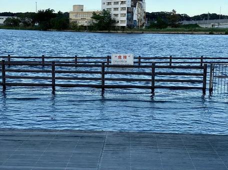 照片, 湖畔, 江面, 湖面, 