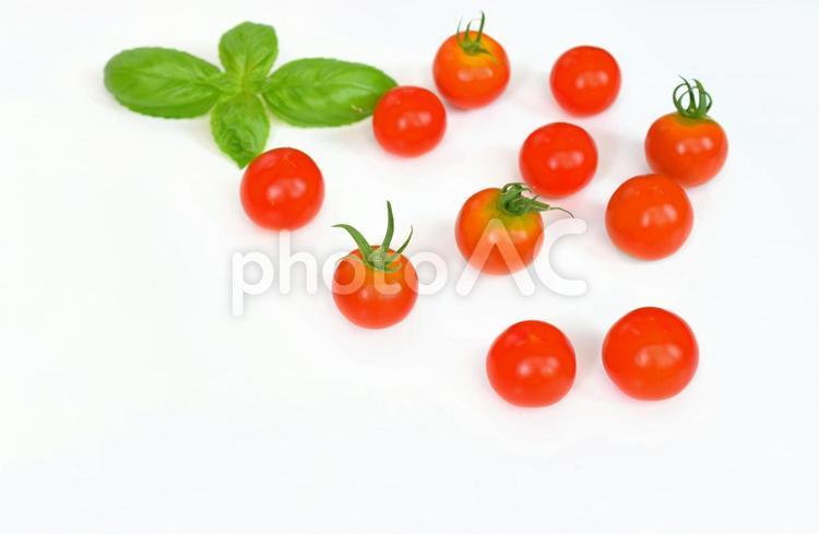 ミニトマトとバジル、白背景、背景素材 トマト,野菜,食べ物の写真素材