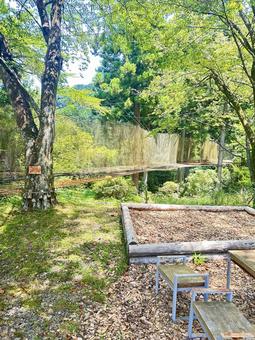 日本の秘境 十津川村 吊り橋 日本の秘境 十津川村 吊り橋 十津川村,自然,森林の写真素材