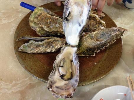 浦村の牡蠣1 浦村の牡蠣1の写真