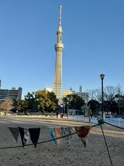 隅田公園　墨田区側　ガーランド ガーランド,スカイツリー,塔の写真素材