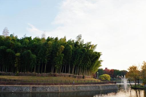 公園の夕景 夕景,たそがれ,夕空の写真素材