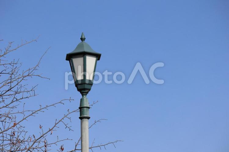 冬枯れの樹の枝と街灯と青空の見える公園 冬枯れ,樹,枝の写真素材