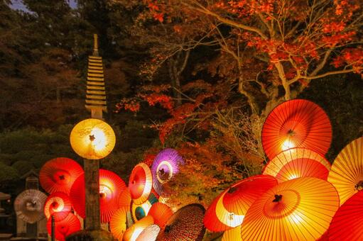 岡寺 岡寺,紅葉,十三重塔の写真素材