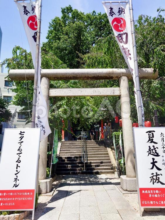 夏越大祓の田無神社 田無神社,夏越大祓い,神社の写真素材