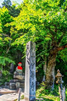 中尊寺の石塔 中尊寺,石塔,寺の写真素材