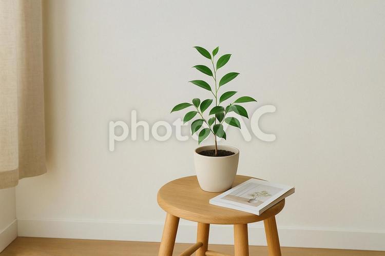 スツールに置かれた観葉植物と雑誌 観葉植物,スツール,雑誌の写真素材