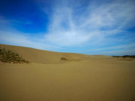 鳥取砂丘の風景 鳥取砂丘の風景 鳥取,鳥取砂丘,砂丘の写真素材