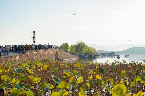 杭州・西湖 白堤 断橋 西湖,杭州,中国の写真素材