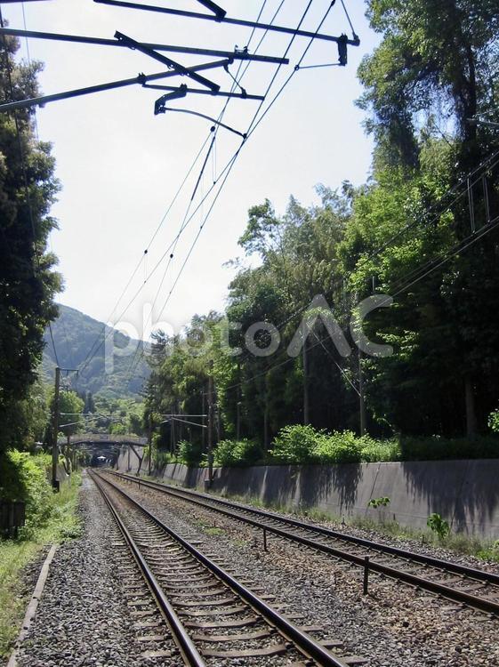 京都府内にて　果てしなく続く線路 線路,鉄道,鉄道旅の写真素材