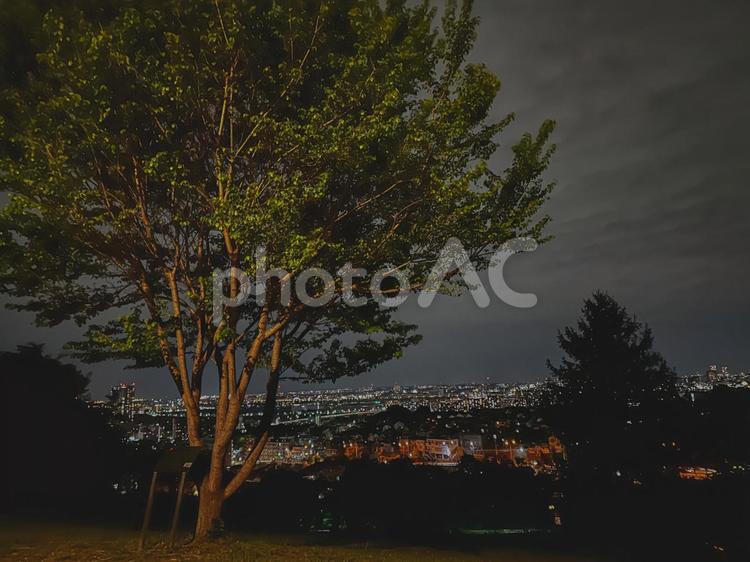 夜の公園から見る景色 公園,夜,景色の写真素材