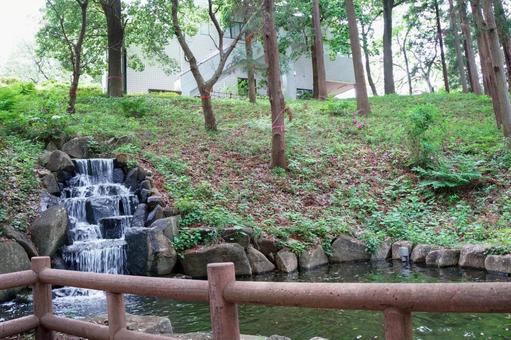緑に囲まれた滝 緑に囲まれた滝 風景,日本,自然の写真素材
