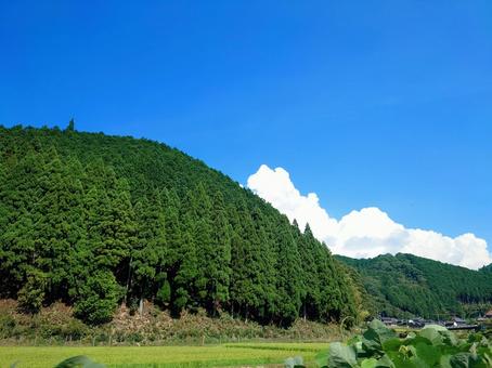 田舎の夏の風景 田舎の夏の風景 青空,白い雲,山の写真素材