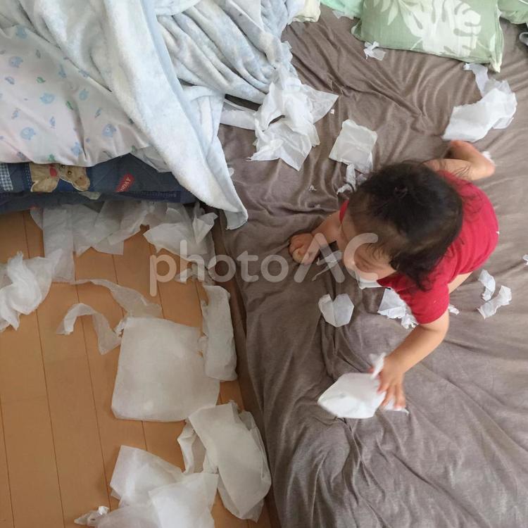 悪戯1 悪戯,いたずら,イタズラの写真素材