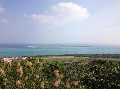 沖縄ののどかな風景 沖縄ののどかな風景 沖縄,風景,緑の写真素材