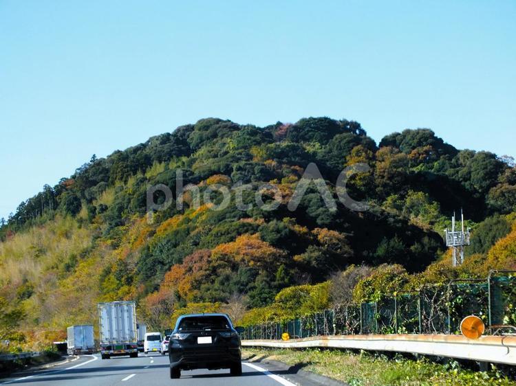 紅葉の美しい山と東名高速道のトラックの列 紅葉,山,美しいの写真素材