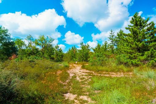 【鳥取】鳥取砂丘の入り口の写真