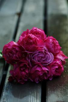 薔薇52 薔薇52の写真