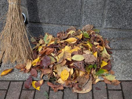 白露過ぎの朝に掃き集められた落ち葉と竹箒 白露過ぎの朝に掃き集められた落ち葉と竹箒の写真