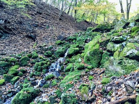 苔岩と小川 苔岩と小川 苔,川,岩の写真素材
