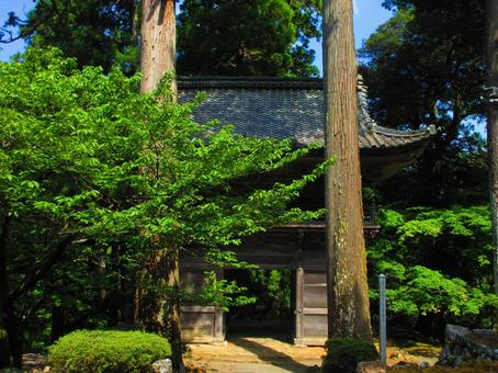 福井県-明通寺-山門-境内側 福井県-明通寺-山門-境内側の写真