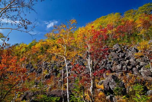 千畳くずれと紅葉 千畳くずれと紅葉 千畳くずれ,紅葉,然別の写真素材