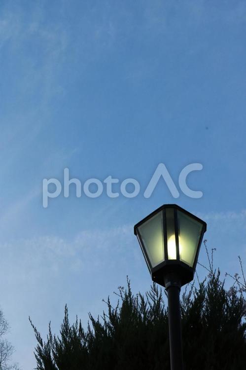 照明　灯り　外灯　街灯　青い空　夕方　シルエット 照明,灯り,外灯の写真素材