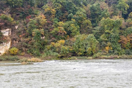 秋の隼の瀬⑷の写真